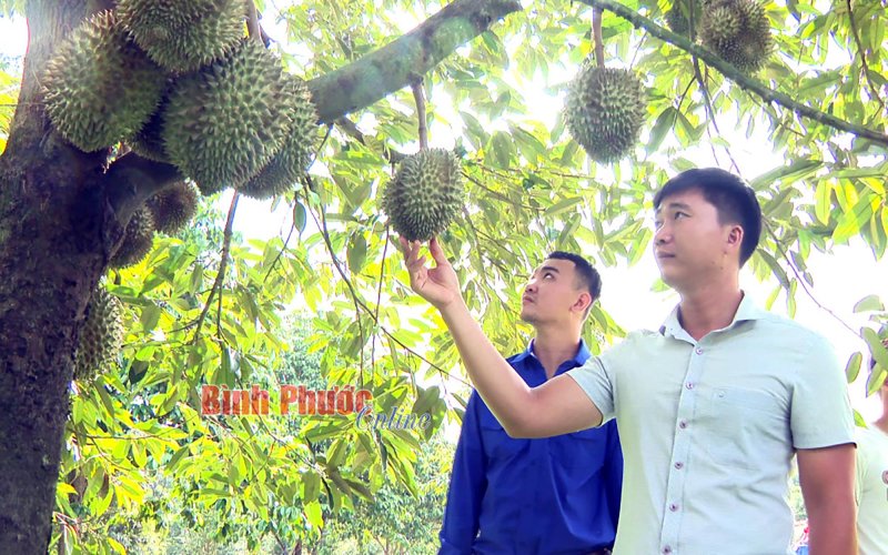 Dám nghĩ, dám làm sẽ thành công