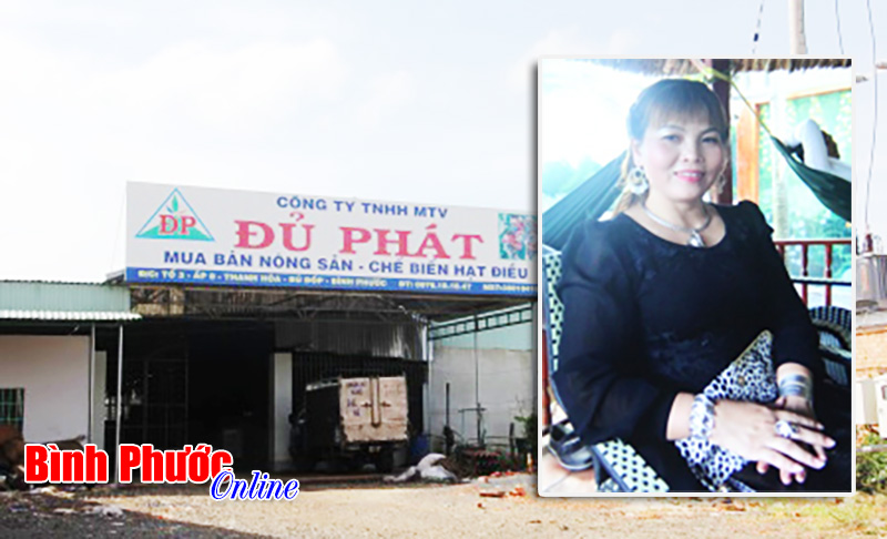 Đằng sau những vụ vỡ nợ của ngành điều Bình Phước