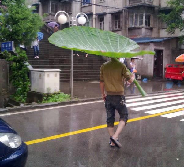 Đàn ông có gì để khổ? Đàn ông có gì để khổ?