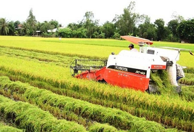 Mức thu tiền bảo vệ, phát triển đất trồng lúa Mức thu tiền bảo vệ, phát triển đất trồng lúa