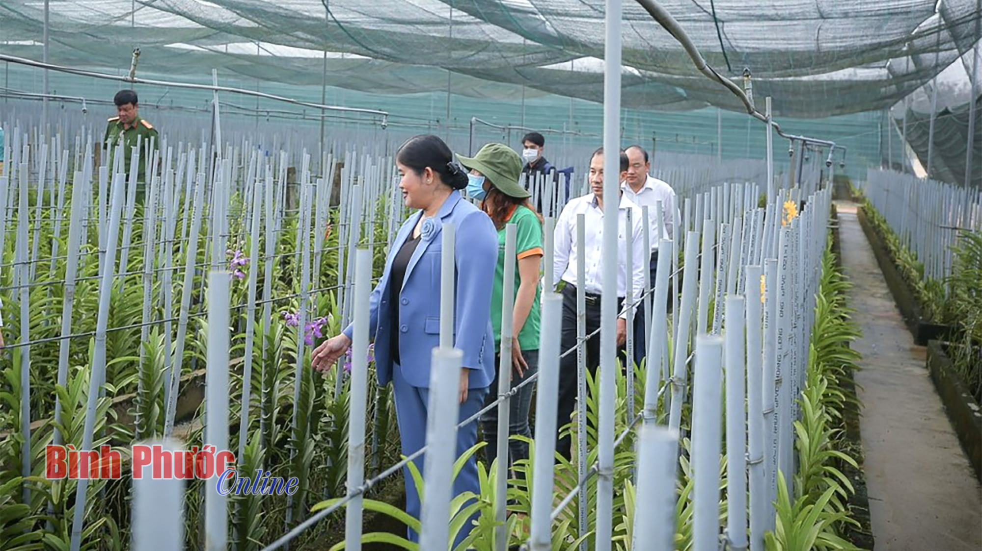 Đầu năm xông đất trang trại thông minh