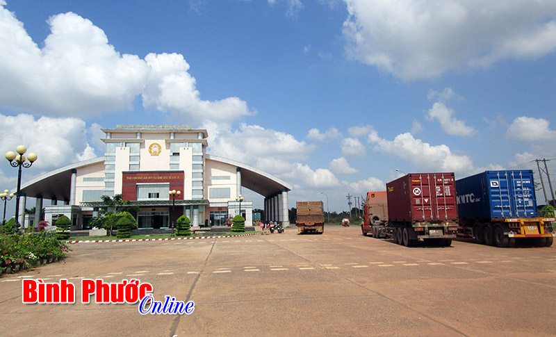 dauan1.jpg
