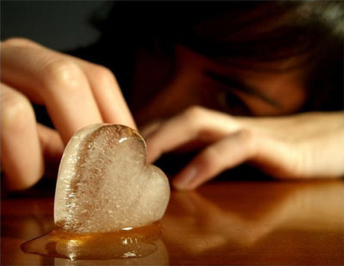 Cuộc “cách mạng” của bà vợ