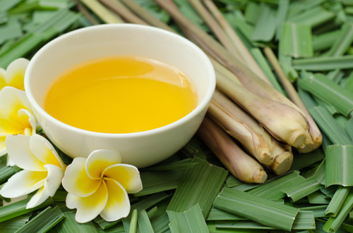 Ngừa muỗi cắn Ngừa muỗi cắn