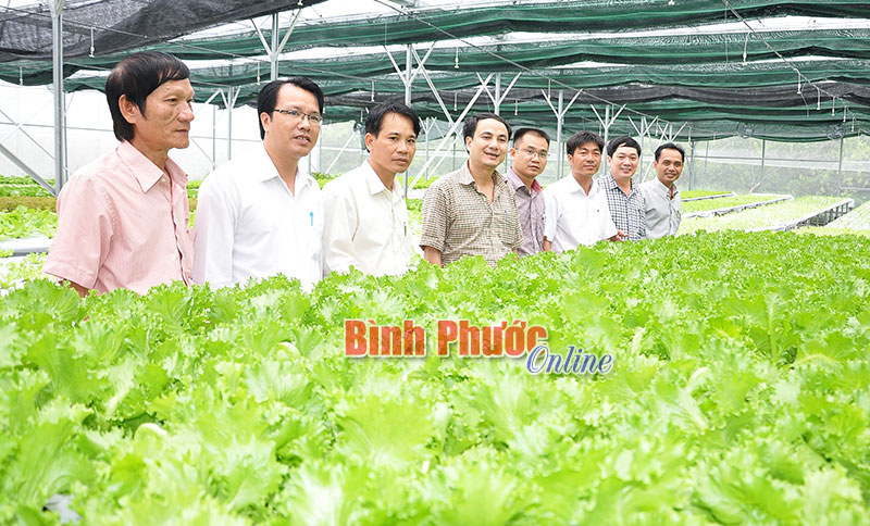 Nông dân thời hội nhập: Bài 1 Nông dân thời hội nhập: Bài 1