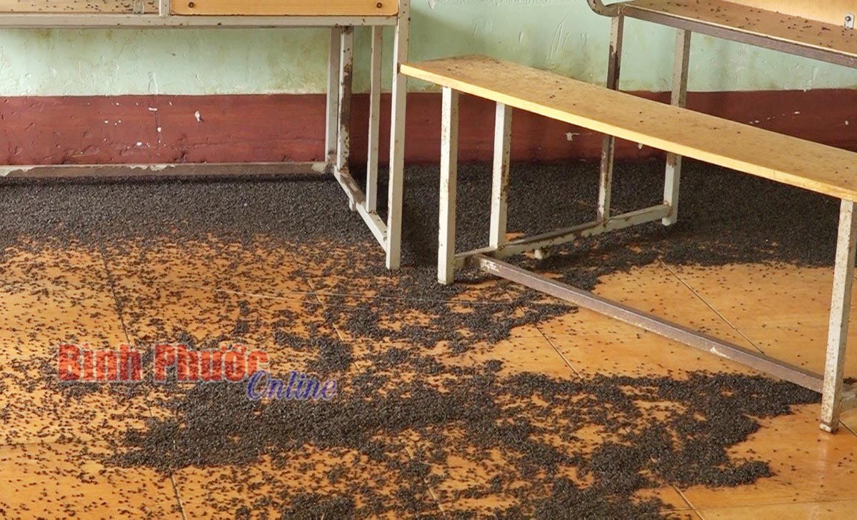 dd230052020105604.jpg
