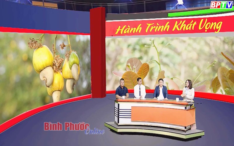 Để hạt điều Bình Phước vươn tầm quốc tế Để hạt điều Bình Phước vươn tầm quốc tế