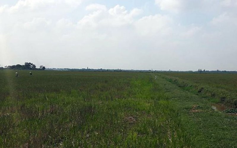 Để không còn dự án “đắp chiếu”