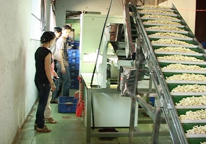 Đề án khuyến công - thêm động lực cho doanh nghiệp Đề án khuyến công - thêm động lực cho doanh nghiệp