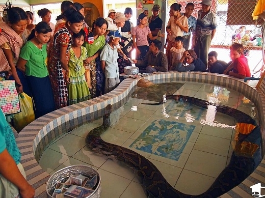 den-chua-noi-tieng16.jpg