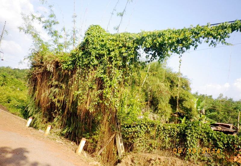 Trụ điện mặc áo