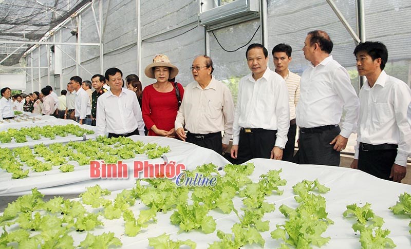 Đến năm 2020, kinh tế tư nhân đóng góp 75% GRDP của tỉnh Đến năm 2020, kinh tế tư nhân đóng góp 75% GRDP của tỉnh