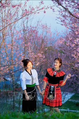 deo_pha_din_27122023_03253428122023.jpg