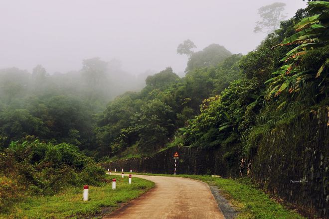 deosamu704092014094420.jpg