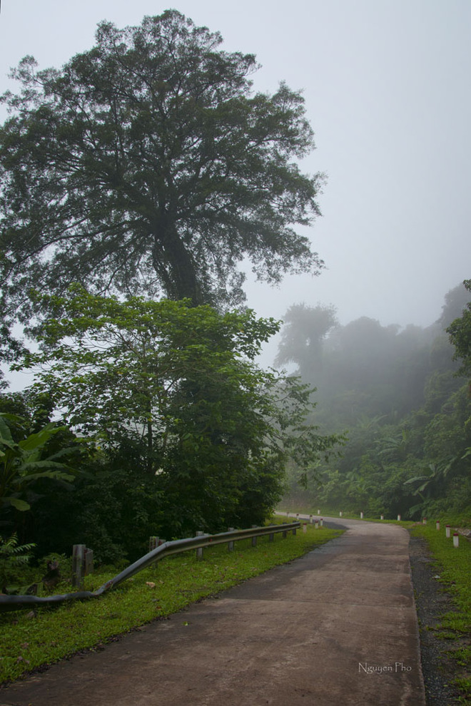 deosamu804092014094420.jpg