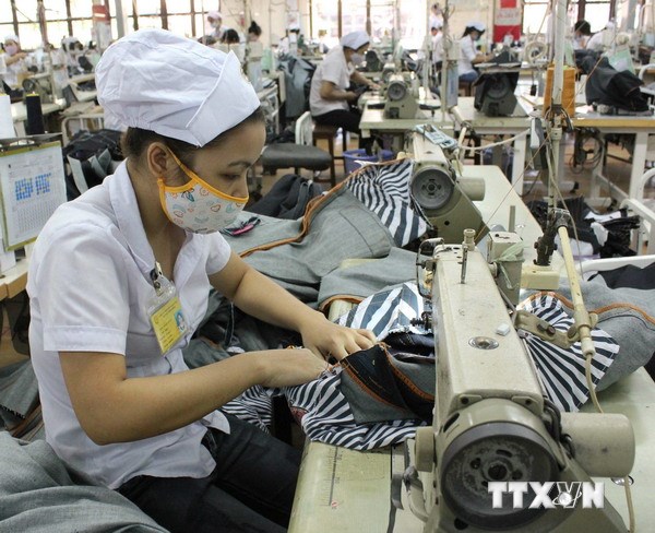 Việt Nam tìm kiếm đầu tư trên nhiều lĩnh vực từ Ấn Độ Việt Nam tìm kiếm đầu tư trên nhiều lĩnh vực từ Ấn Độ