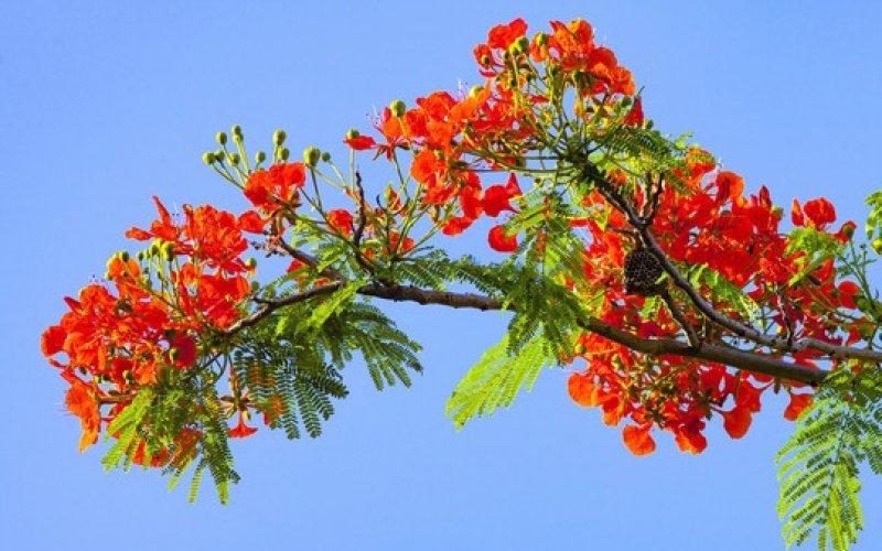 Đi để trở về