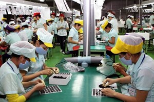 Việt Nam gia nhập Công ước 187 về an toàn lao động