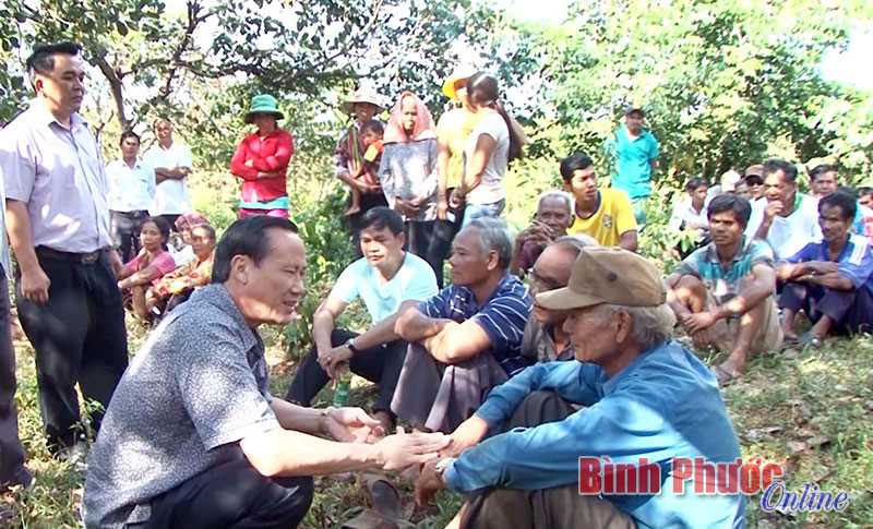 Tập huấn chăm sóc vườn điều ở Bù Gia Mập