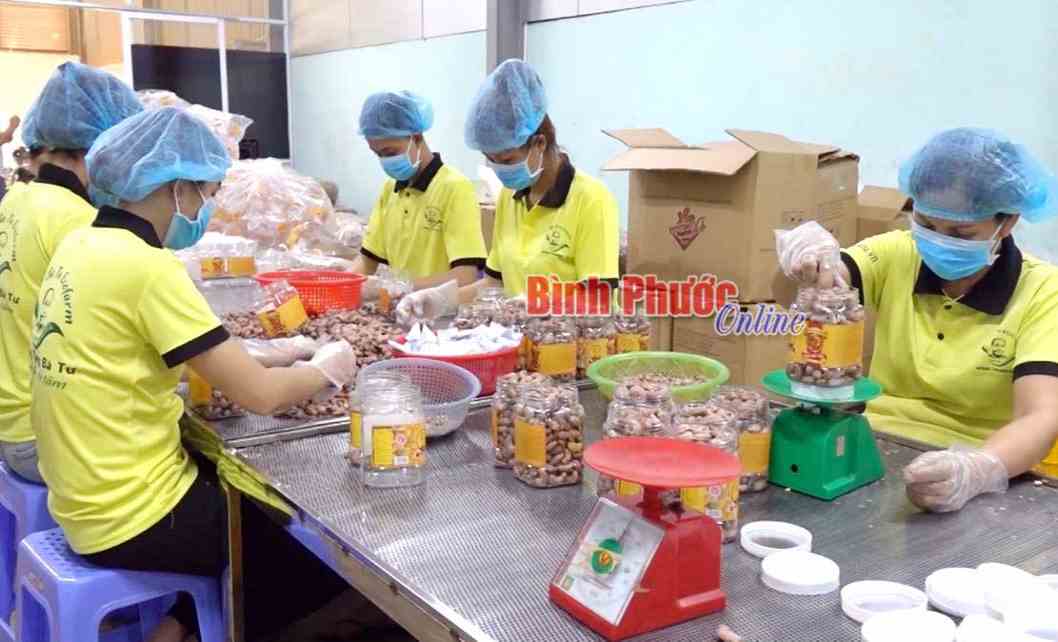 Doanh nghiệp “tung” hàng phục vụ tết Doanh nghiệp “tung” hàng phục vụ tết