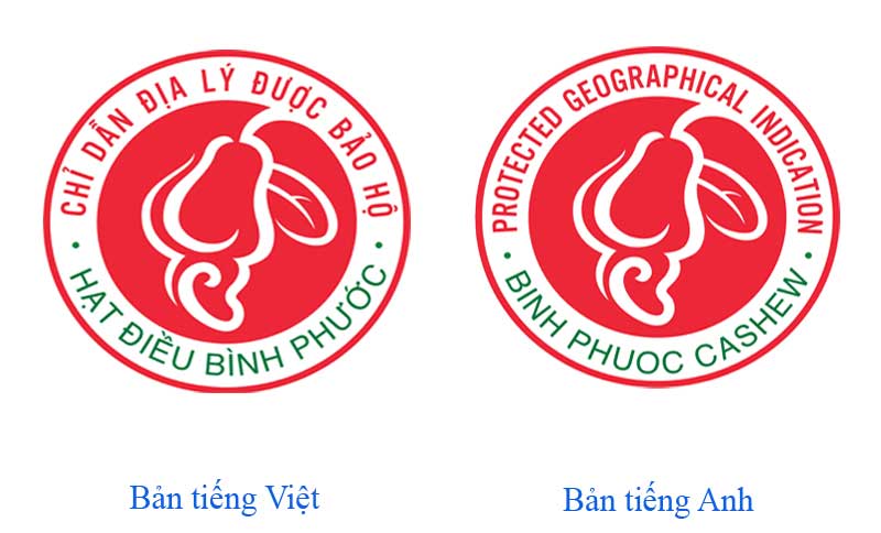dieu114122019095754.jpg