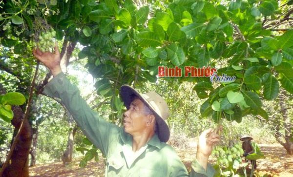 Kinh nghiệm thoát nghèo của một nông dân Kinh nghiệm thoát nghèo của một nông dân