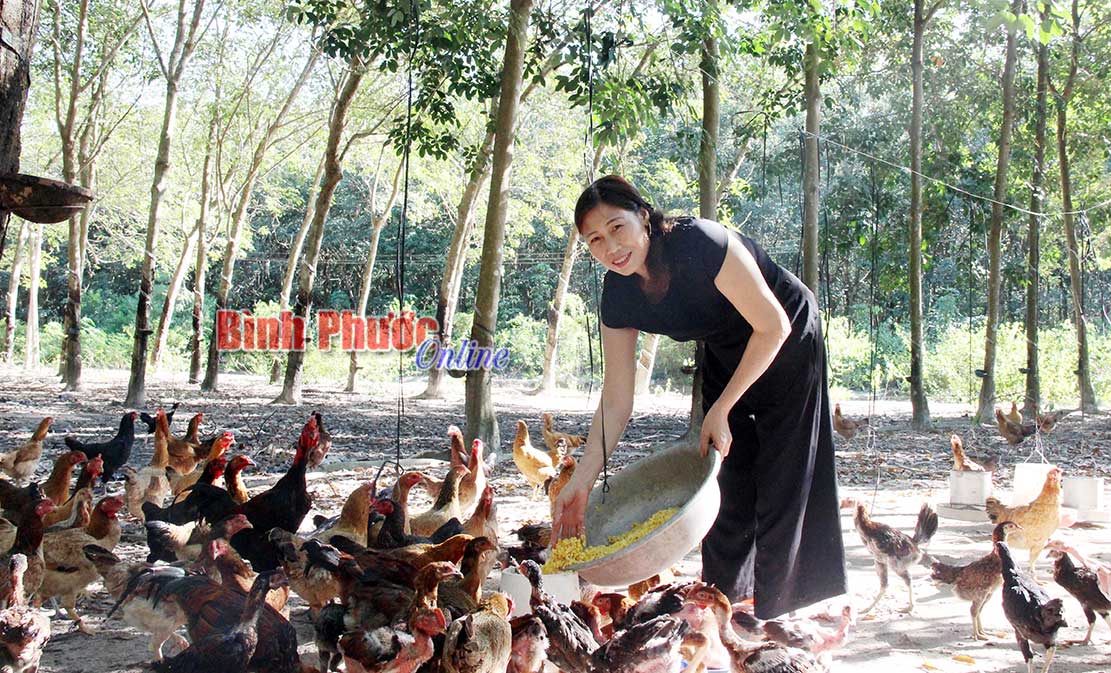 dinh03122019050337.jpg