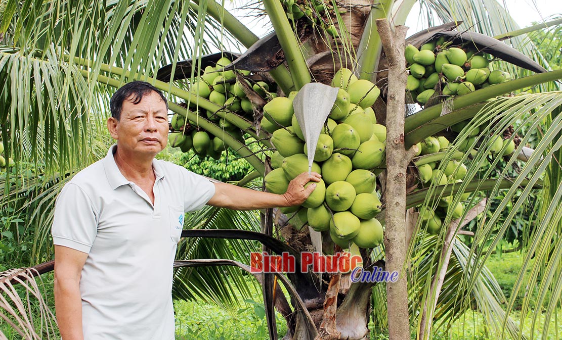 dinh19062019024001.jpg