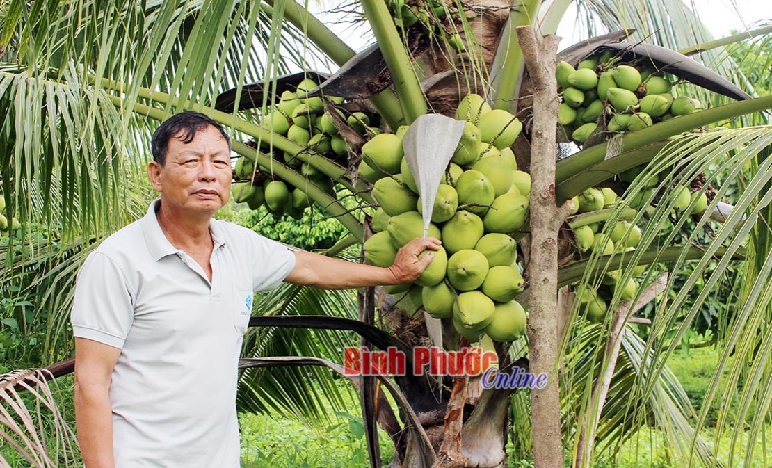 Vùng biên khởi sắc từ cây ăn trái