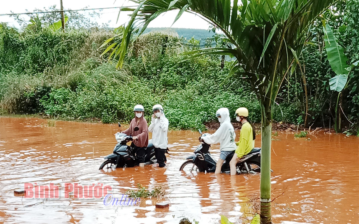 dinh1_08593626112021.jpg