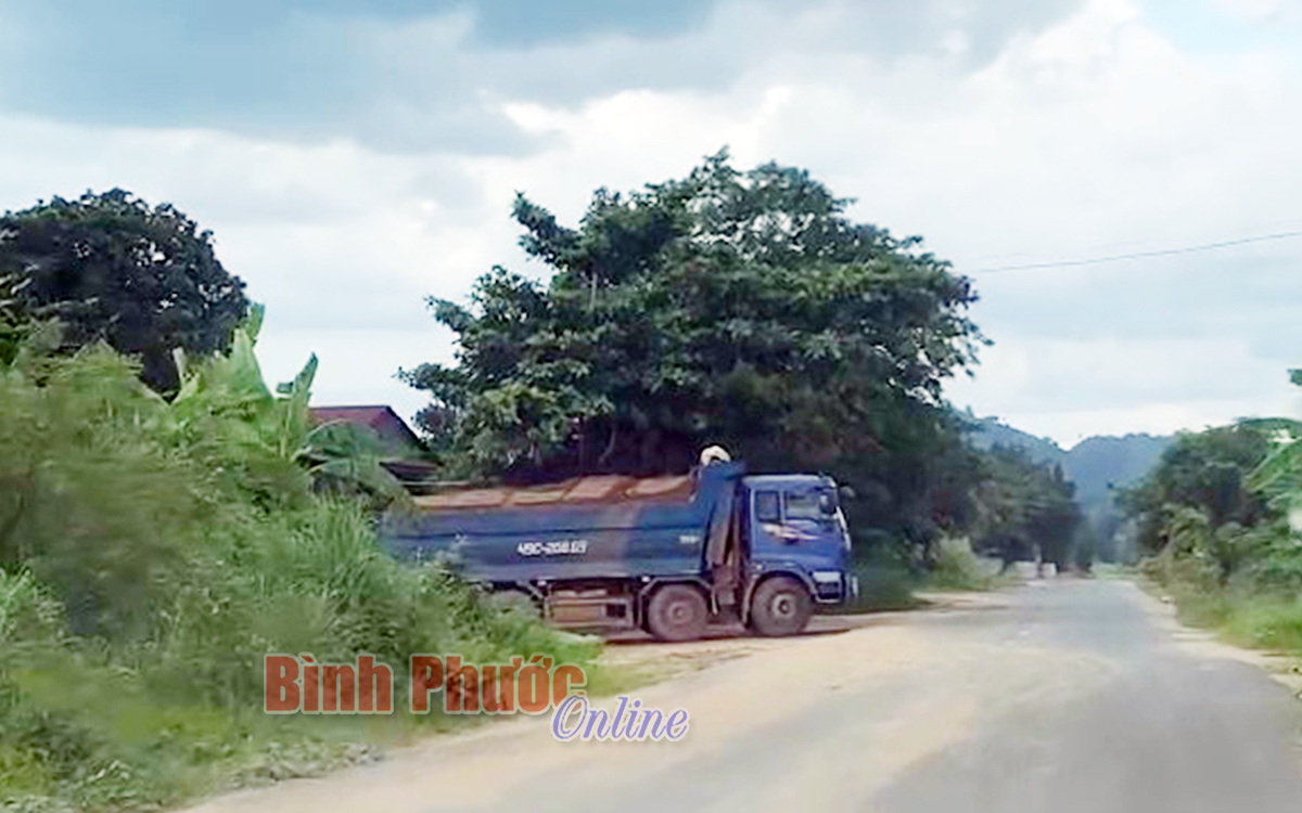 dinh4_10324113082021.jpg