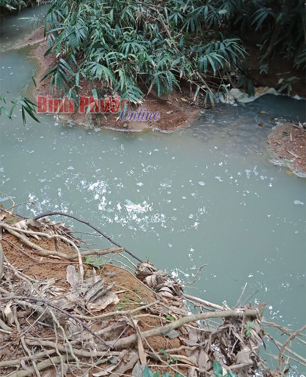 dinh5_22042507102021.jpg