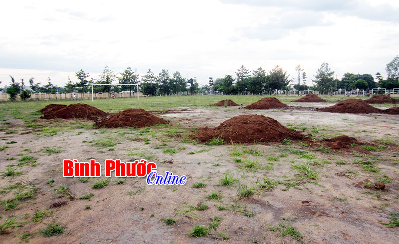dinhchi.jpg