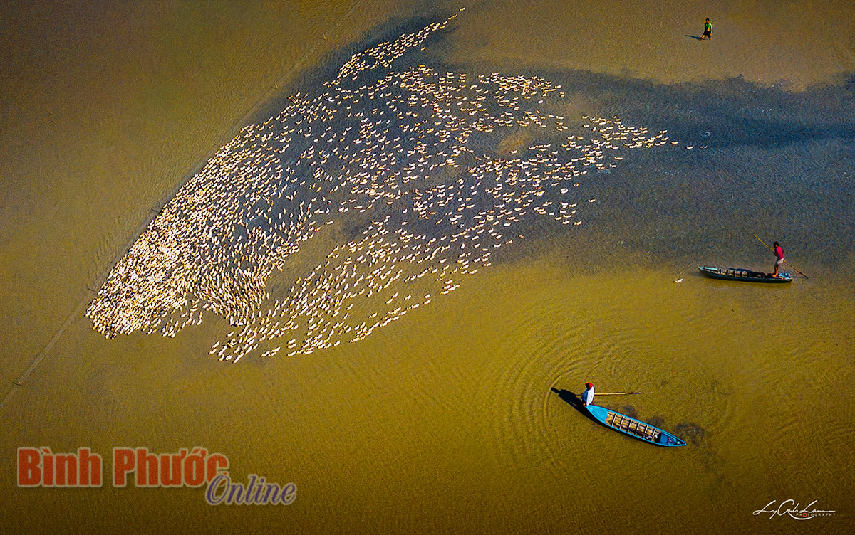 dji_0231_07162207112021.jpg