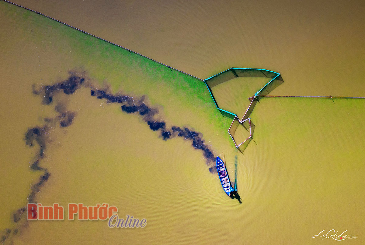 dji_0302_07155207112021.jpg