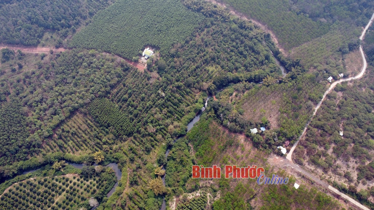dji_0856_13210513062025.jpg