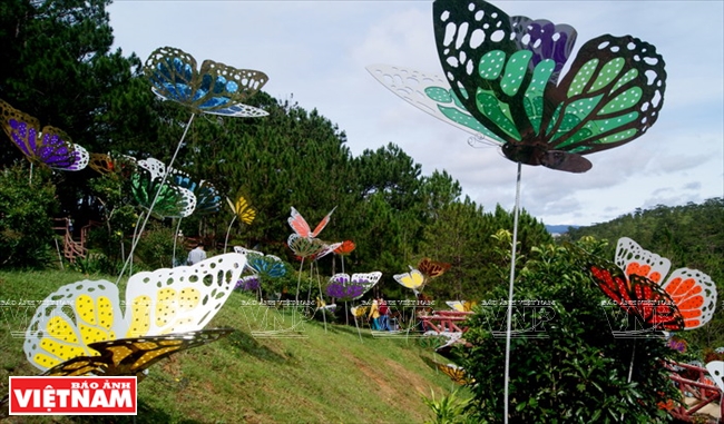 dl203112015025424.jpg