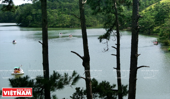 dl503112015025424.jpg