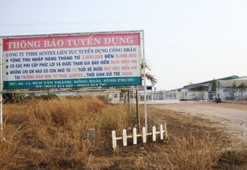 Doanh nghiệp rốt ráo tuyển lao động