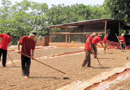 Doanh nghiệp thiếu lao động, vì sao?