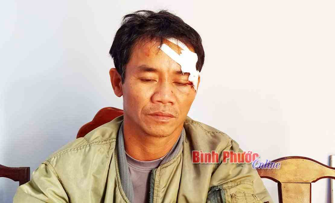 Án mạng từ chuyện con bò