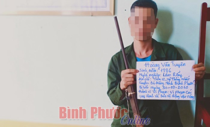 Dùng súng tự chế vào rừng bắt 7 cá thể cheo, 2 cá thể cầy hương Dùng súng tự chế vào rừng bắt 7 cá thể cheo, 2 cá thể cầy hương