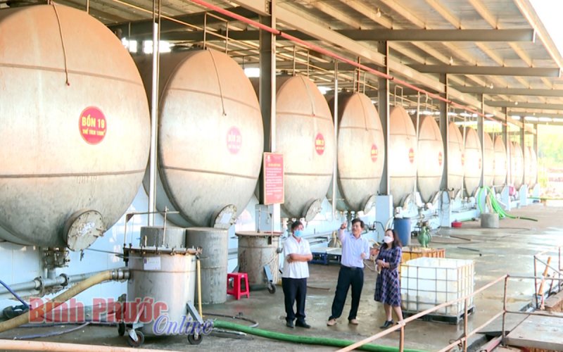 Đổi mới công nghệ - doanh nghiệp vươn tầm (Bài cuối) Đổi mới công nghệ - doanh nghiệp vươn tầm (Bài cuối)
