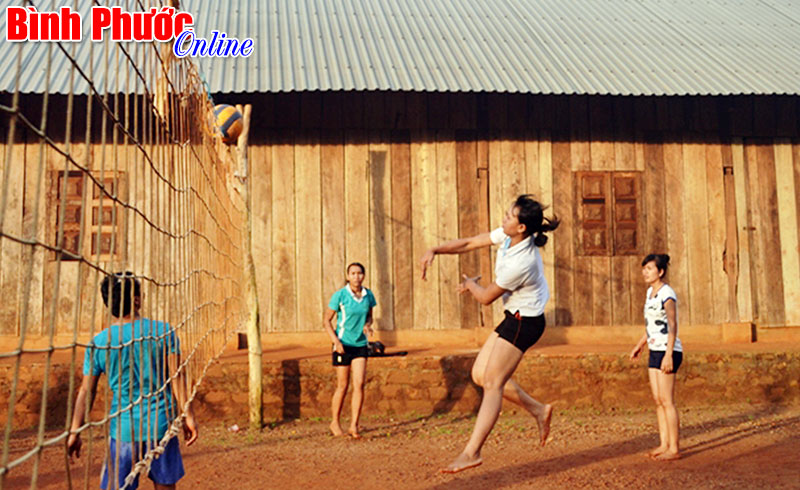 Đội bóng chuyền gia đình Đội bóng chuyền gia đình