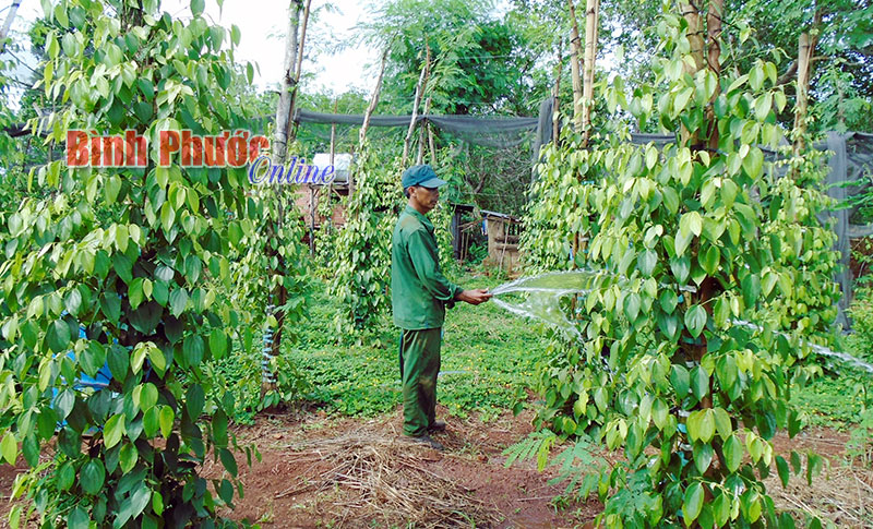 doithay.jpg