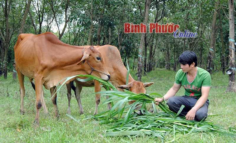 Đổi thay từ chính sách dân tộc ở Tân Lợi Đổi thay từ chính sách dân tộc ở Tân Lợi