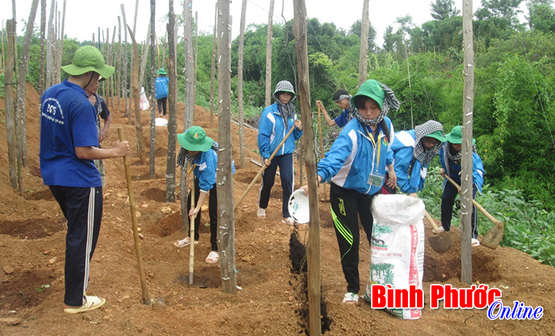 donbaychophongtrao.jpg