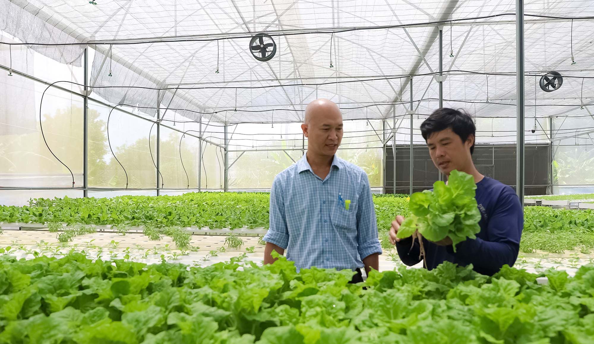 Đồng Nai xây dựng nông thôn mới văn minh, hiện đại tại xã Thống Nhất