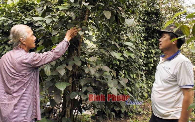 Đồng hành với người nghèo