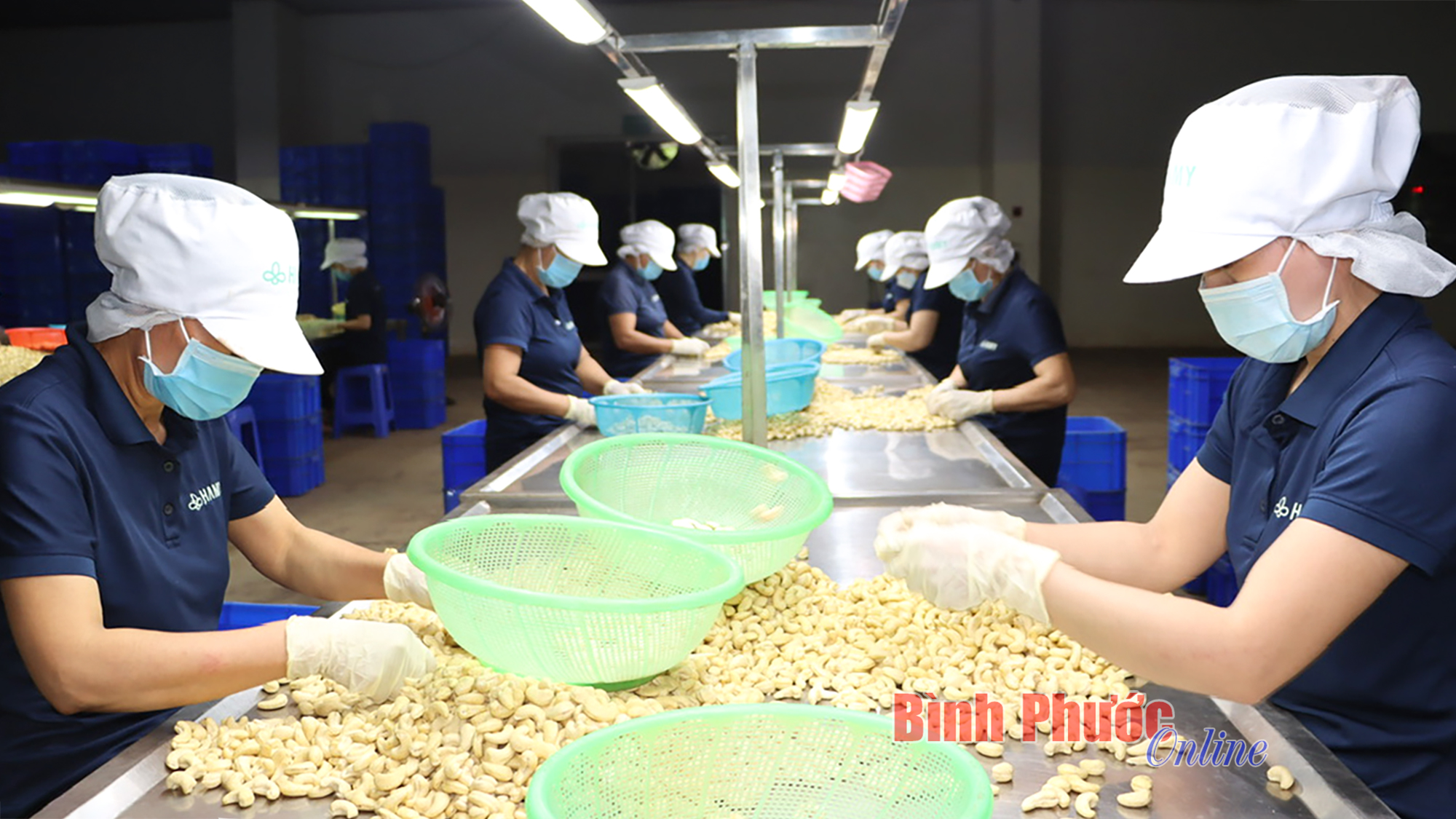 Động lực mới từ OCOP Động lực mới từ OCOP